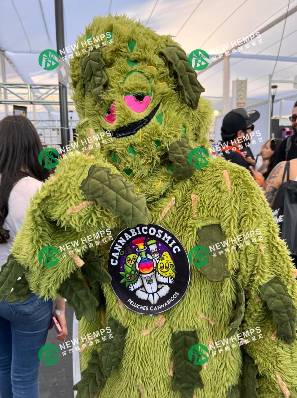 2025 年南美智利大麻&电子烟&成人展览