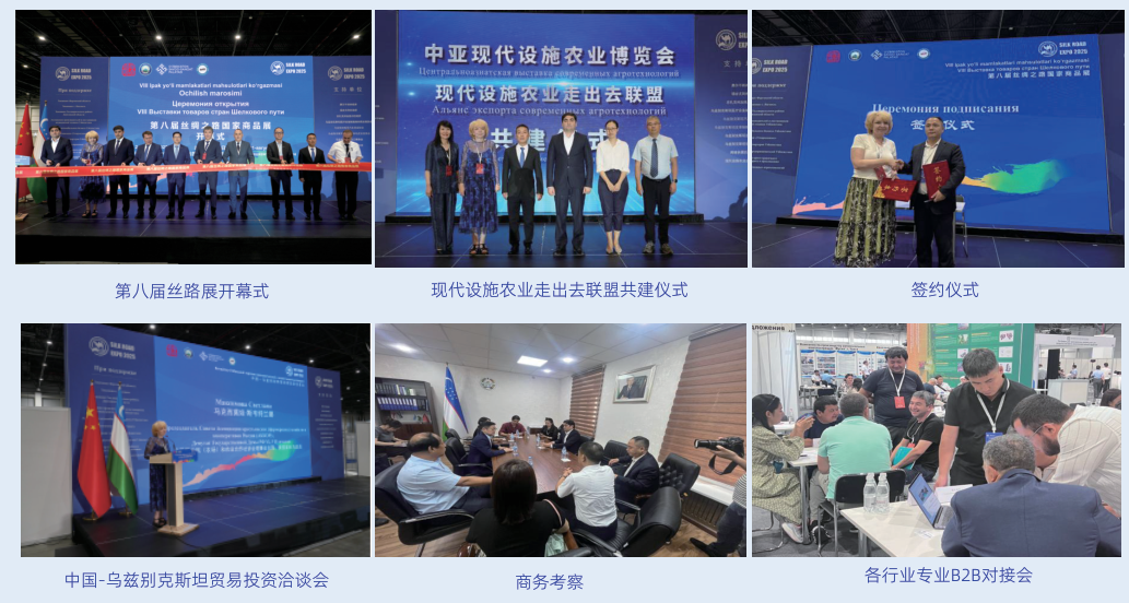 2026乌兹别克斯坦展回顾图.png